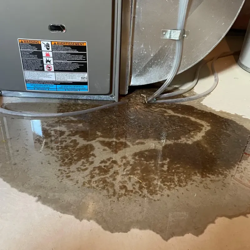 Appliance Leak Cleanup in Piedmont, SC