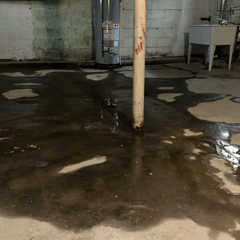 Emergency Water Extraction And Removal in Piedmont, SC